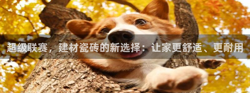 杏鑫官方app代理