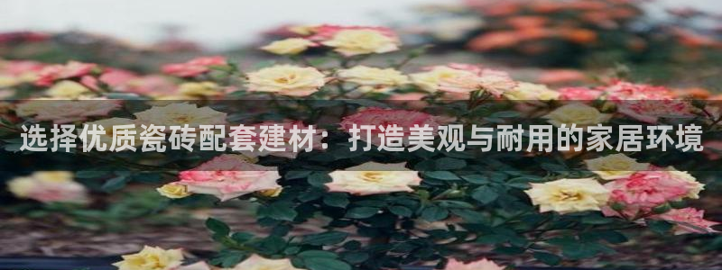 杏鑫平台怎么样黑钱吗知乎推荐