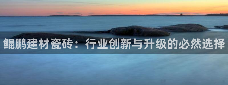 杏鑫官方平台怎么样