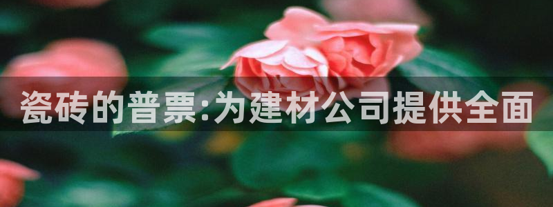 杏鑫平台代理怎么做的