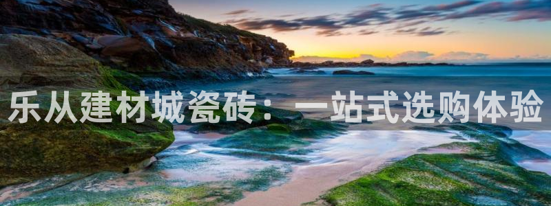 杏鑫平台代理怎么样啊