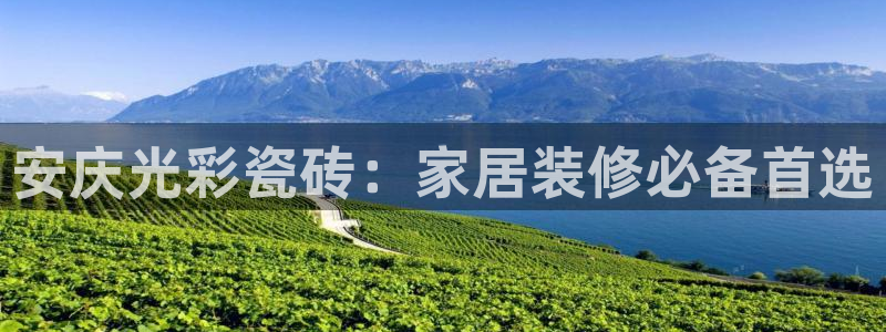 杏鑫平台正规吗可信吗