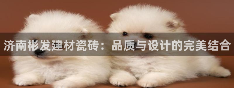 杏鑫平台代理怎么做赚钱
