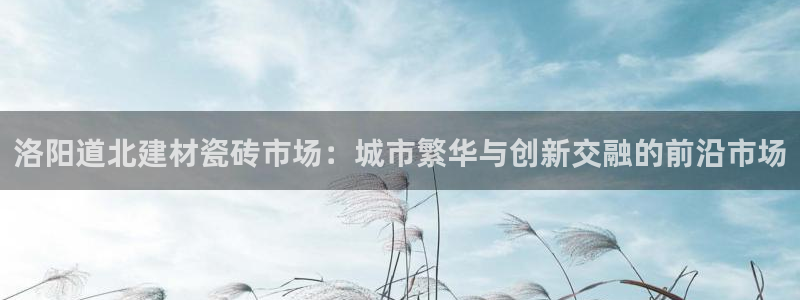 杏鑫官网最新信息