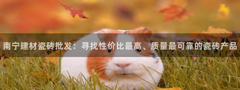 杏鑫平台注册网址是多少