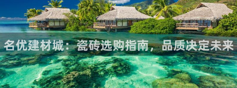 杏鑫官网最新信息