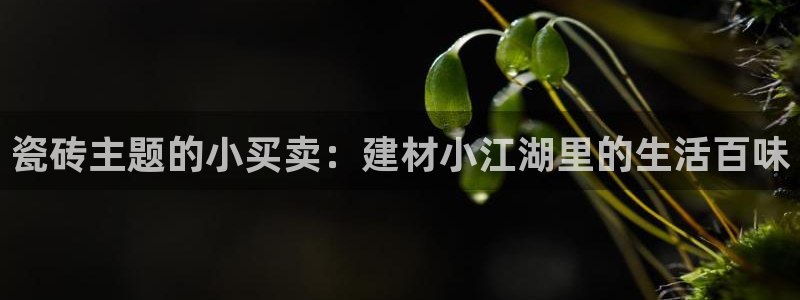 杏鑫平台注册网址查询