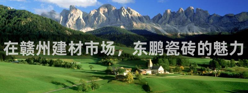 杏鑫平台代理注册流程