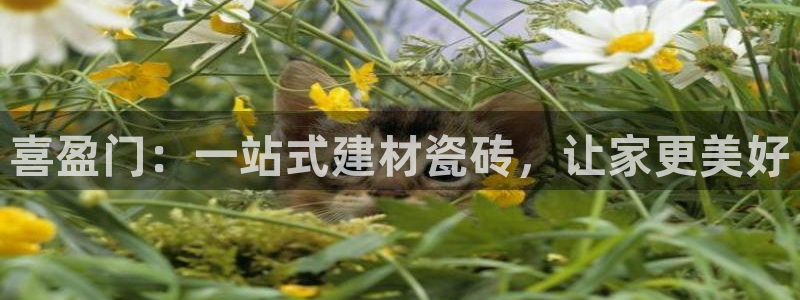 杏鑫平台代理注册多少钱啊