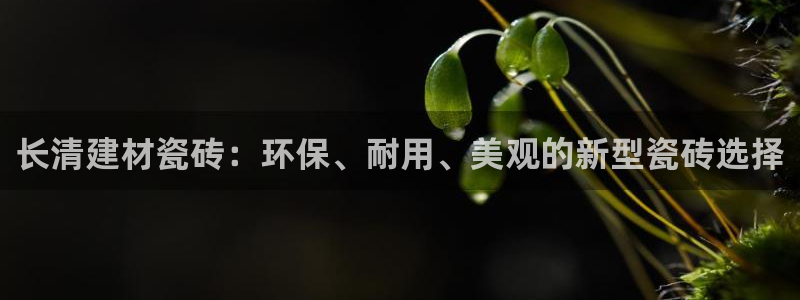 杏鑫平台招商怎么样啊