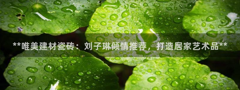 杏鑫平台野马联盟怎么样
