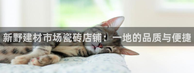 杏鑫官方平台怎么样可靠吗