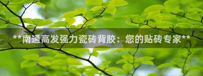 杏鑫平台招商电话
