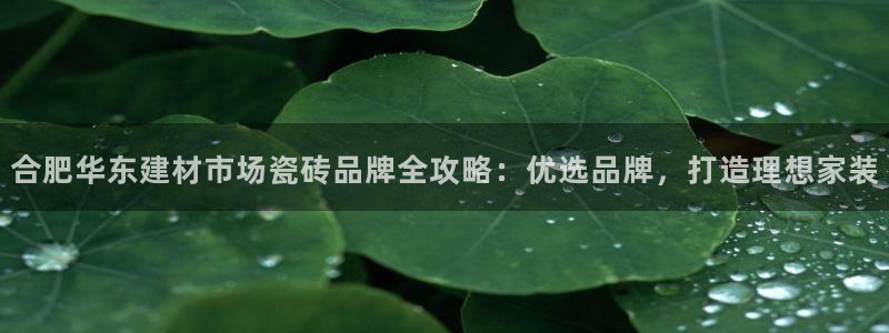 杏鑫注册平台官方网站入口