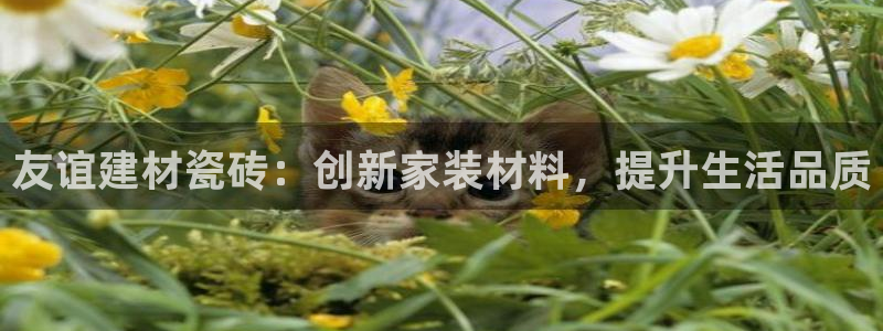 杏鑫代理注册资金多少