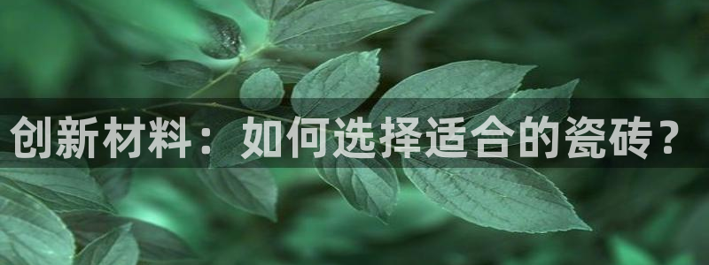 杏鑫平台注册入口