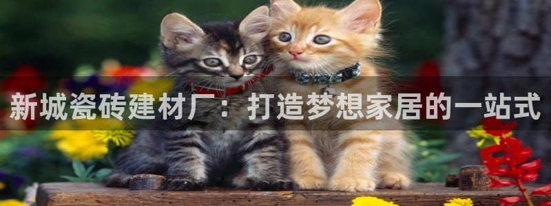 杏鑫官网注册账号是什么样的