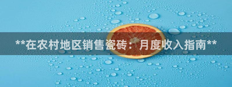 杏鑫代理注册平台