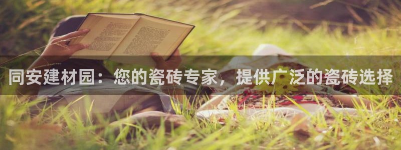 杏鑫注册登录网址是什么