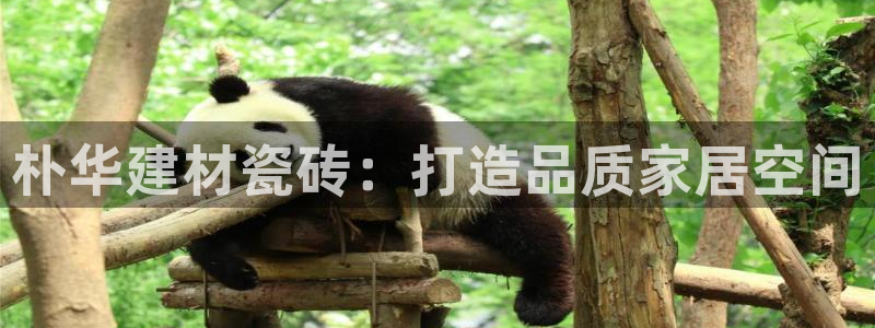 杏鑫官网注册账号怎么注册不了