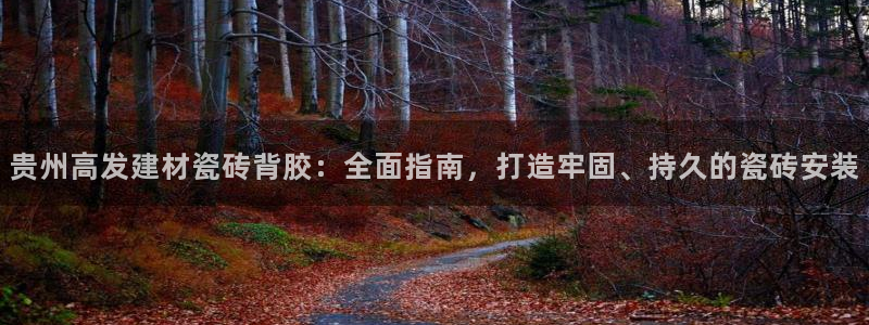 杏鑫平台注册地址在哪里