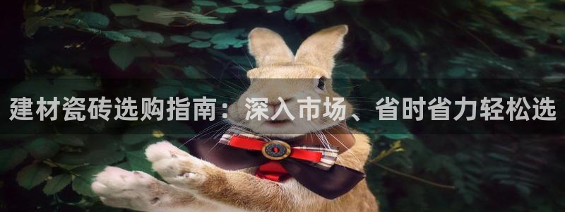 杏鑫平台代理注册登录不了怎么办呀视频