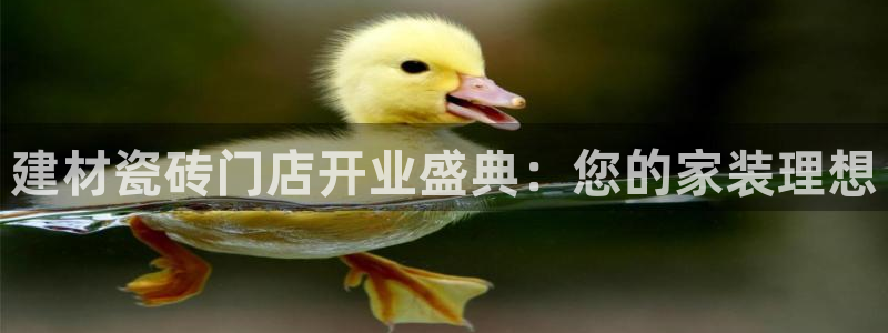 杏鑫官网注册账号密码忘了