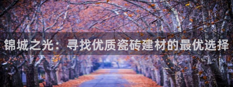 杏鑫官网注册账号是什么