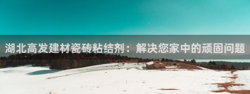 杏鑫平台代理注册流程视频