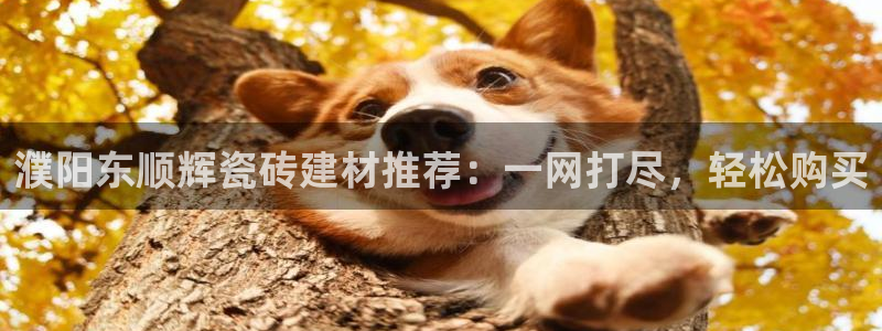 杏鑫注册登录网