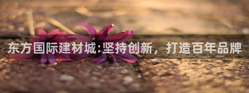 杏鑫平台登录注册