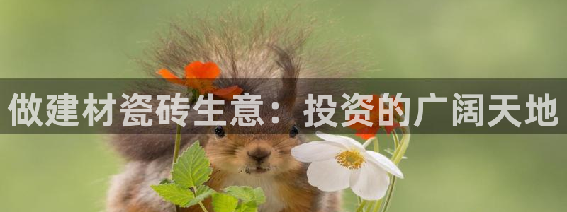 杏鑫平台代理注册多少钱