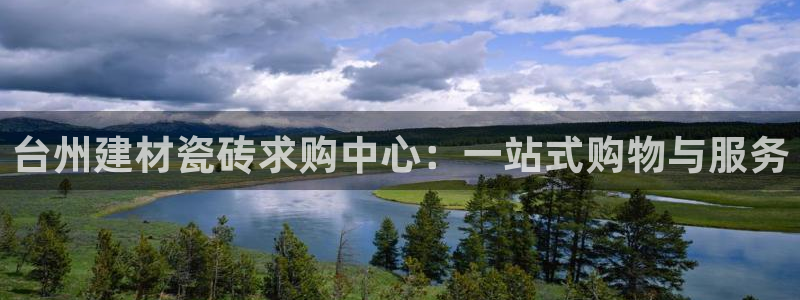 杏鑫代理注册资金多少