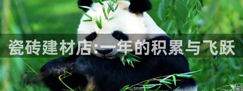 杏鑫平台登录注册