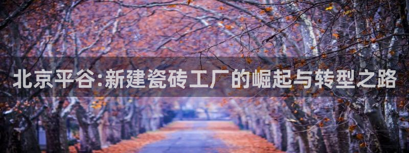 杏鑫平台代理注册登录不了怎么办呀苹果