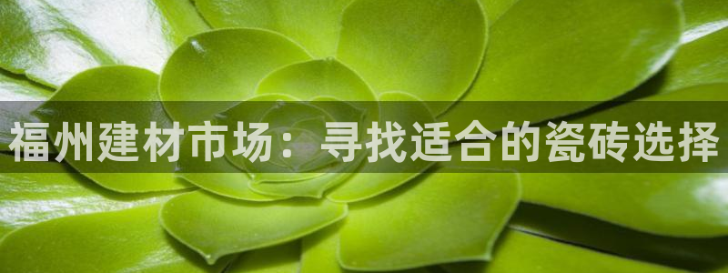 杏鑫平台登录注册