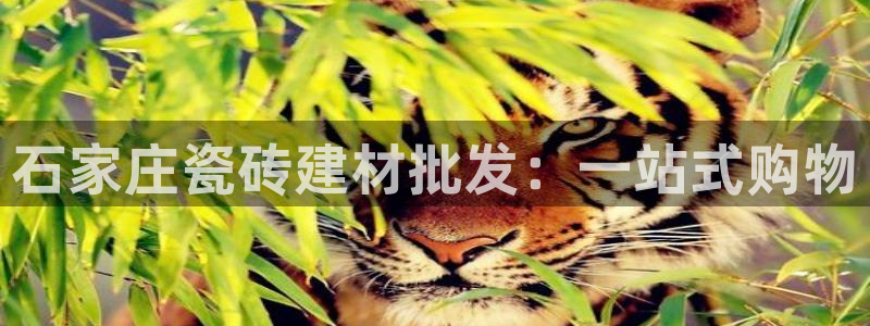 杏鑫代理注册登录