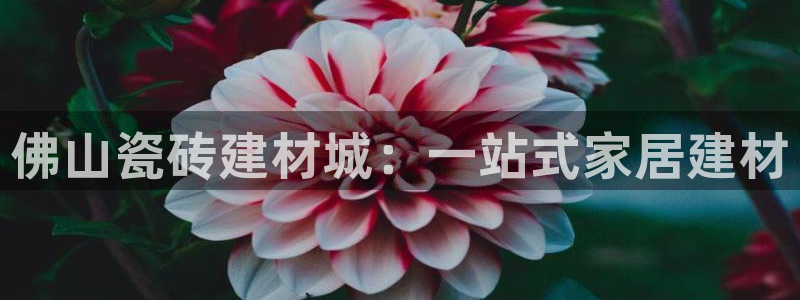 杏鑫注册平台官方网站是什么