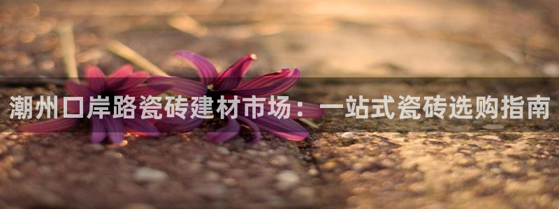 杏鑫平台登录地址