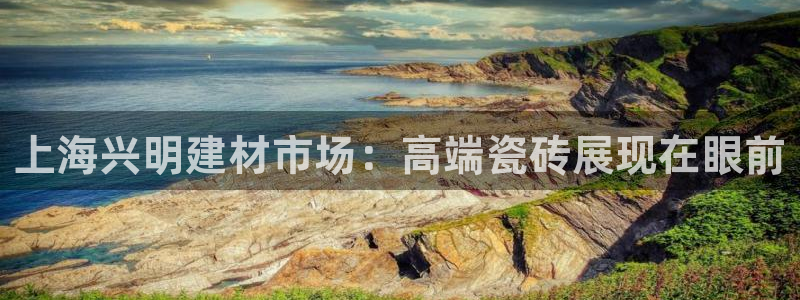 杏鑫注册登录代理