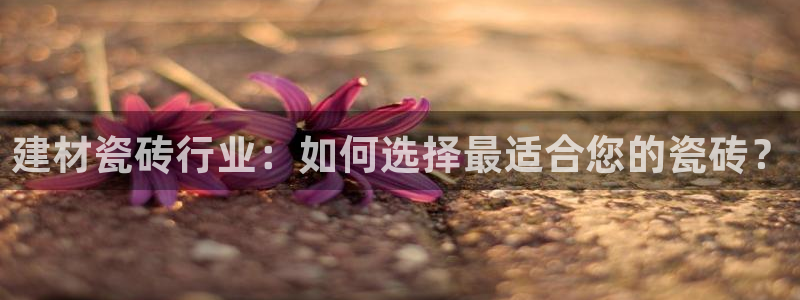 杏鑫平台代理注册流程图