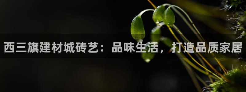 杏鑫注册登录网址是多少