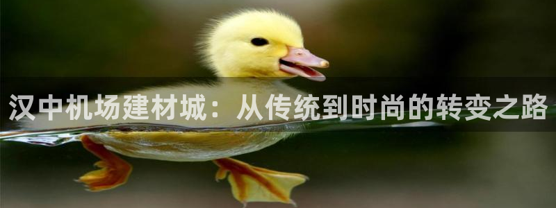 杏鑫注册登录网址是多少