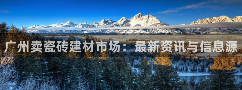 杏鑫官网注册账号怎么注册的