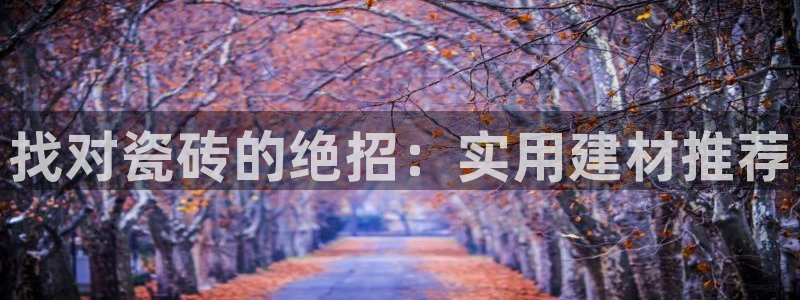 杏鑫官方平台怎么样啊