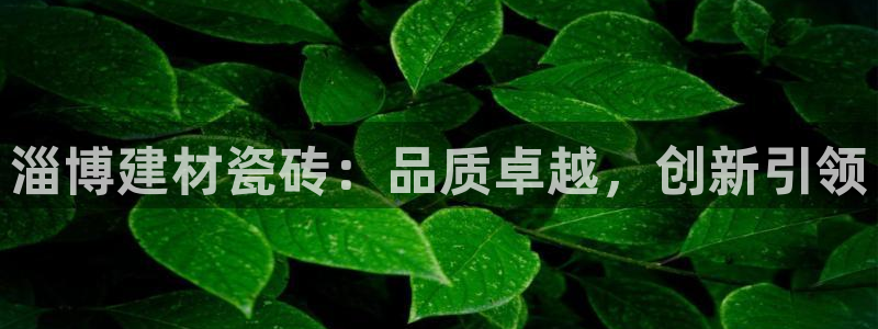 杏鑫手机客户端