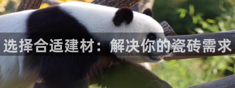 杏鑫平台是黑平台吗是真的吗