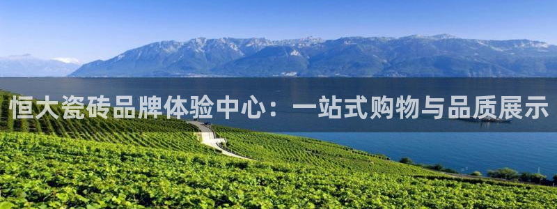 杏鑫平台注册网址查询