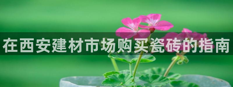 杏鑫平台招商电话是多少